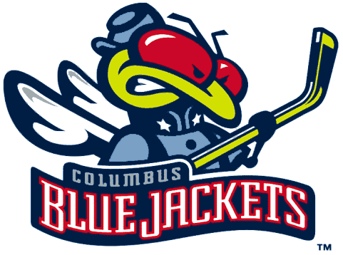 Columbus Blue Jackets 2000-2004 Alternate Logo fabric transfer version 2